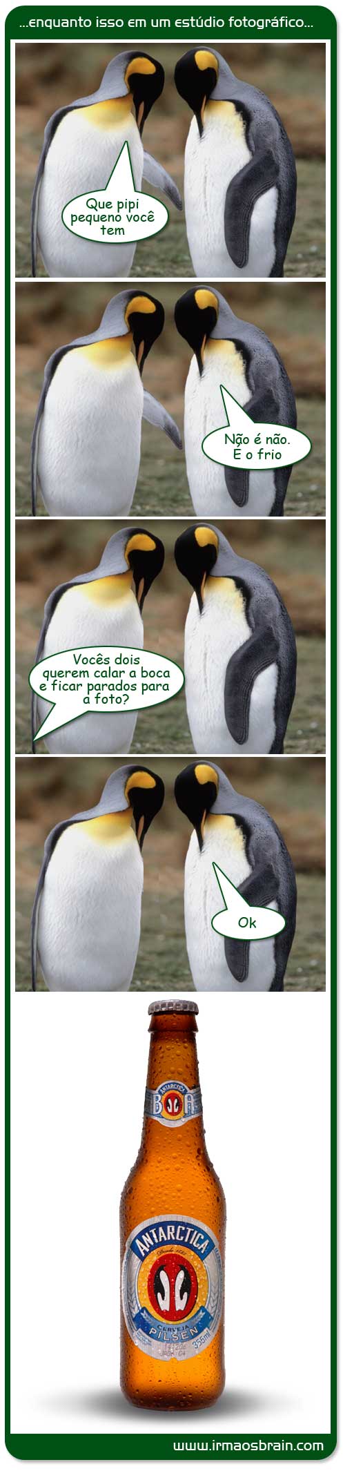 Pinguins Antarctica