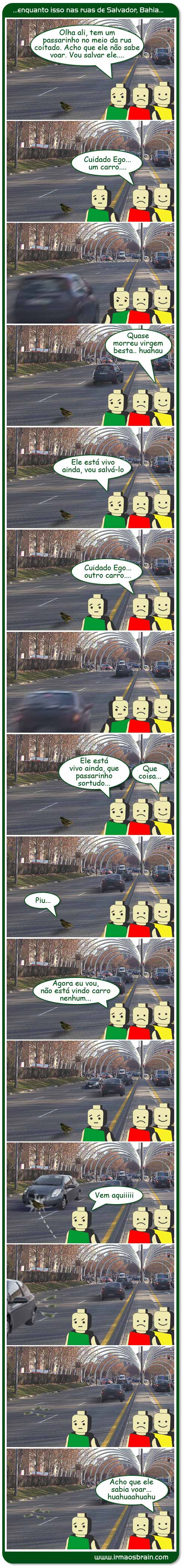 Passarinho Final