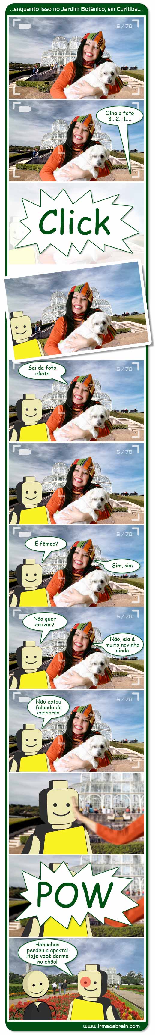 irmaos brain