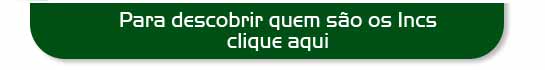 Irmaos Brain 2