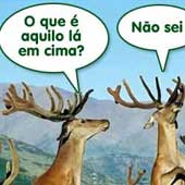 Chuva Cósmica