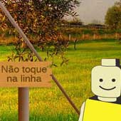 Um passeio na natureza…
