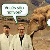 Os caçadores de mitos